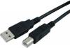   USB 2.0 Cable USB-A male - USB-B male 3m